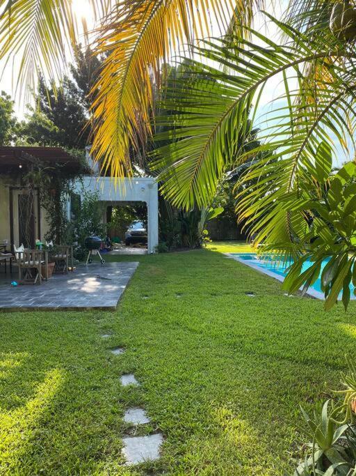 Miami Guest House With Large Pool Exterior foto